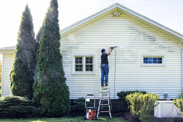 Professional  Pressure Washing in Mount Vernon, AL