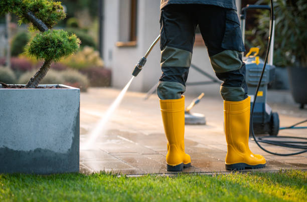 Best Gutter Cleaning in Mount Vernon, AL